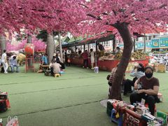 -万众国际批发市场