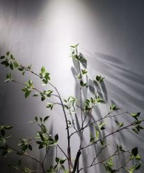 -HG美发设计沙龙