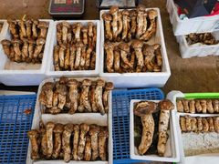 -云南木水花野生菌交易中心