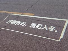 -北方饺子王·海肠捞饭·海鲜锅(山大店)