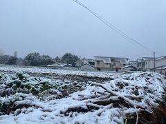 -让签签飞小郡肝串串香(春熙路形象店)