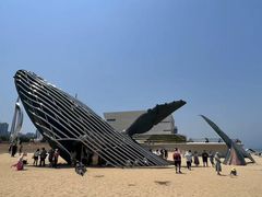 -烟台金沙滩海滨公园