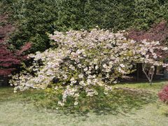 -四明山国家森林公园