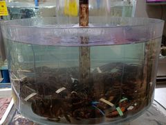 水产区-将相和·海鲜蒸饺大连菜