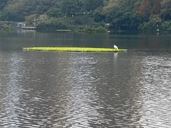 -重庆彩云湖湿地公园