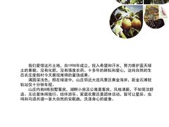 -大连北马山庄