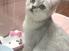 -FAELING PETS美天灵宠物(富力广场店)