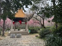 -雨花胜境