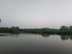 -大兴滨河森林公园