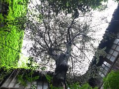 -书隐楼