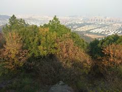 -灵岩山风景区