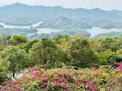 -高榜山景区