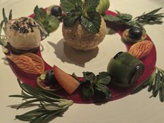 -叶叶菩提(太原别墅店)