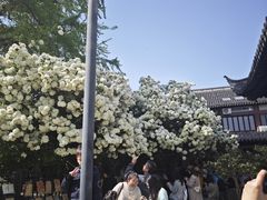 -常熟方塔园