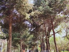-哈尔滨极乐寺