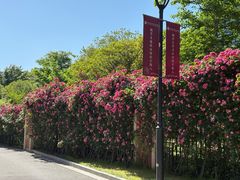 -华东师范大学第二附属中学(张江校区)