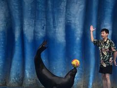 -华夏文旅海洋公园