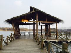 -溱湖国家湿地公园