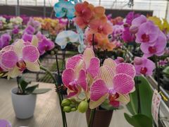 -北京益泉花园酒店