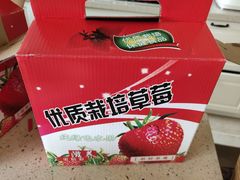 -青浦采草莓天天草莓园