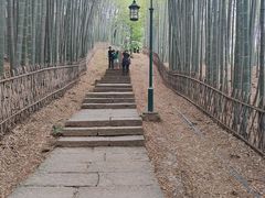 -宝石山