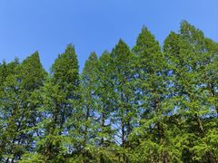 -小格里自然风景区