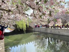 -海棠花溪(元大都城垣遗址公园)