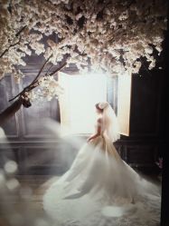 -太郎花子婚纱摄影艺术中心
