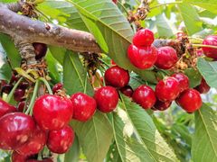 -辽河服务区-停车场