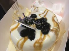 -狐狸和向日葵(北京路店)