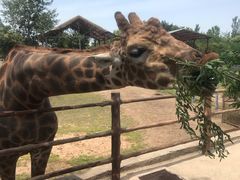 -西安秦岭野生动物园