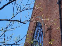 -上海基督教景灵堂