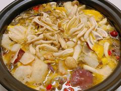 -菌之家·专业纯野生菌火锅·特色炒菌