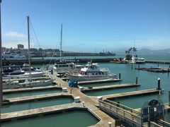 -Swiss Louis Italian & Seafood Restaurant