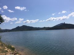 -望湖烤鱼