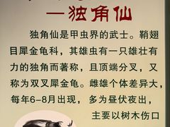 -上海昆虫博物馆