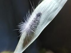 -火炉山森林公园