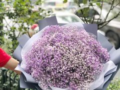 -花未央花店·WEYOUNG