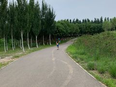 -东郊湿地公园