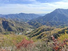 -大岭沟猕猴桃谷风景区