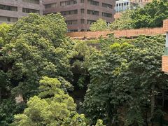 -香港大学