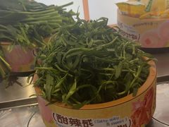 -龍歌自助小火锅(李沧丽达店)