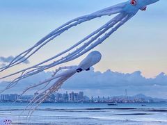 -巨鹏飞梦幻海岸