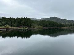 -海南热带雨林国家公园吊罗山景区