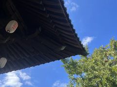 -紫阳古街