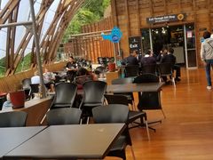 -怀托摩萤火虫洞