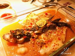 -佬肥猫(国华广场店)