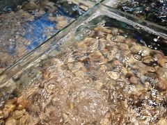 -养牛邓·潮汕牛肉海鲜自助火锅(广州店)