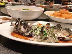 -香丰阁·烤鸭·川湘菜(清河店)