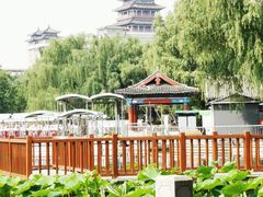 -莲花池公园